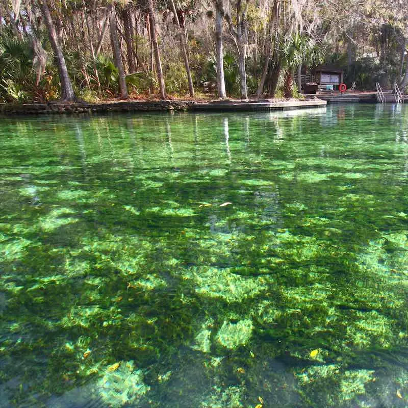 Clear waters of Wekiwa Springs State Park in central Florida