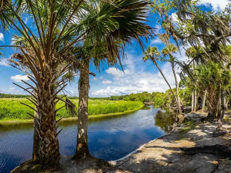 Best State Parks In Florida Myakka River