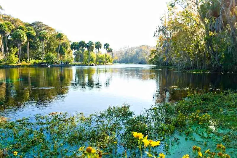 Silver Springs State Park, FL