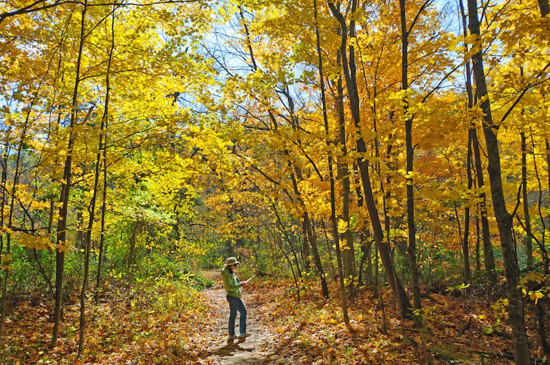 trail in Indiana