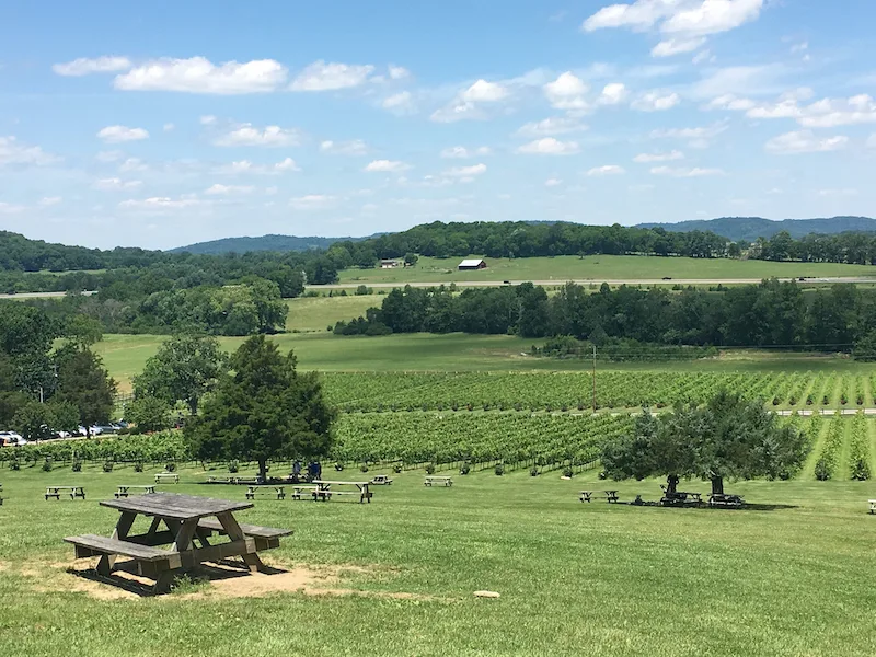 Winery / vineyard overlook in Tennessee