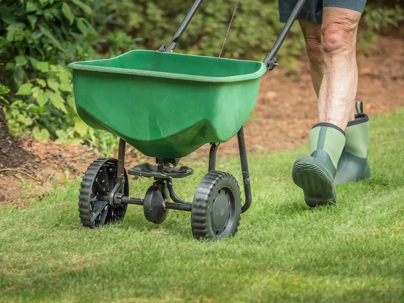 Man seeding and fertilizing residential backyard lawn with manual grass seed spreader.