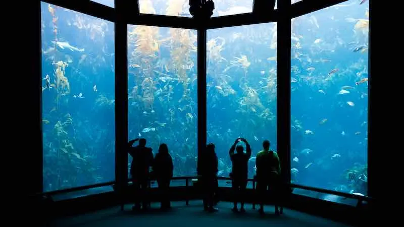 Monterey Bay Aquarium