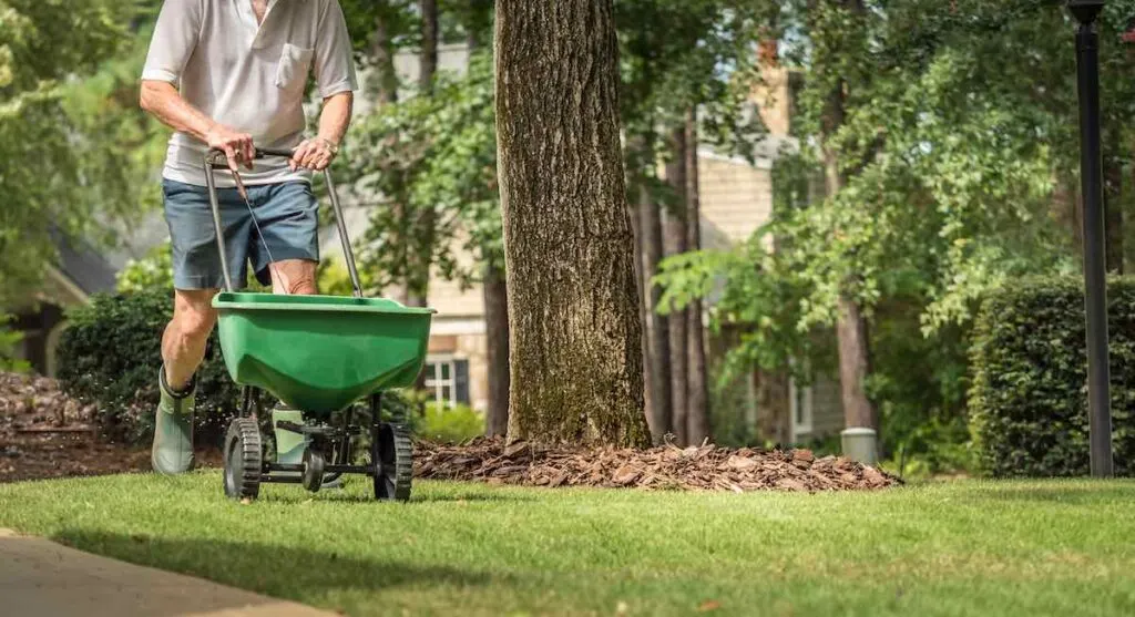 Man seeding and fertilizing