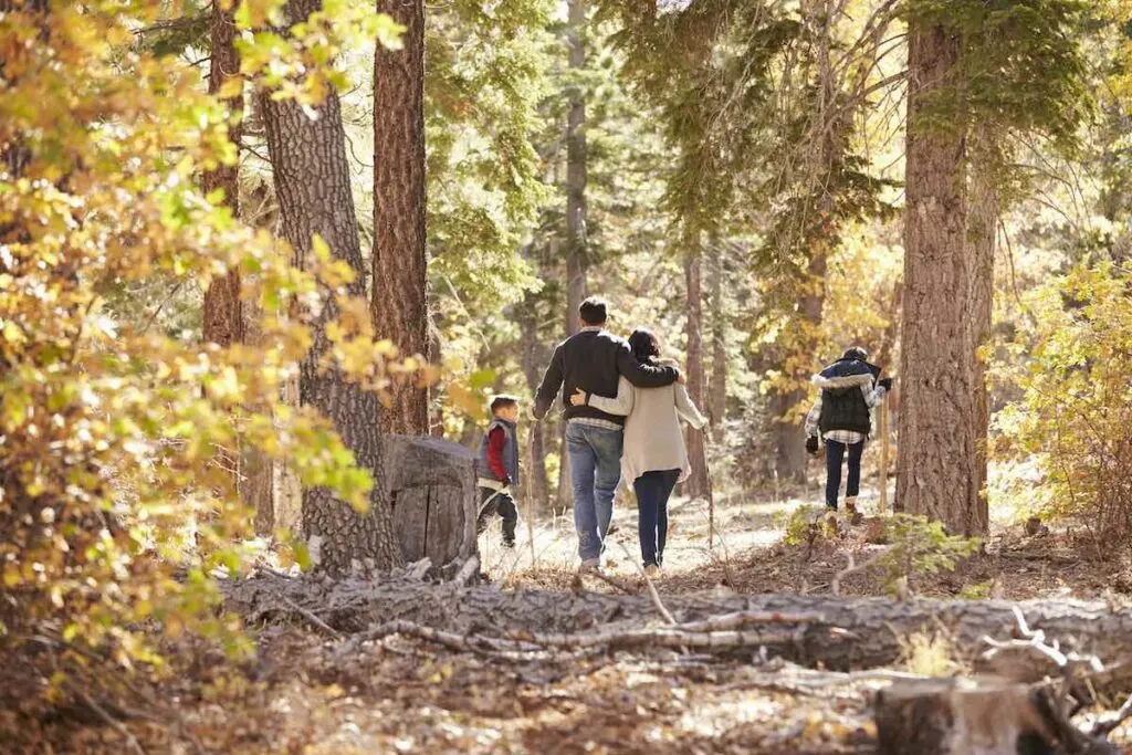 A family hiking in a forst.