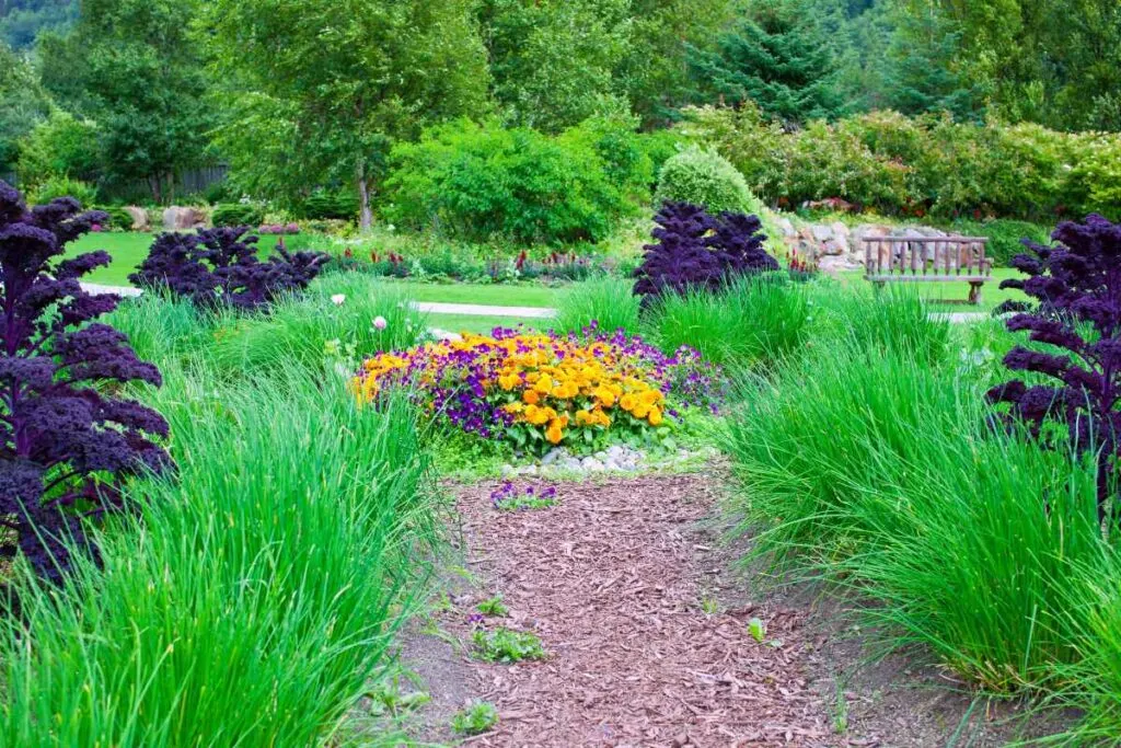 Alaska Botanical Garden