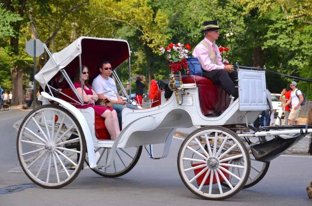 Central Park Horse Carriage Rides in Manhattan New York, USA