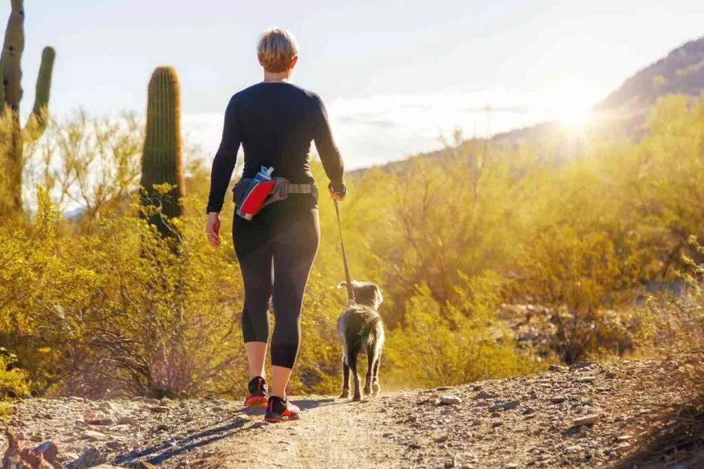 Desert Hiking