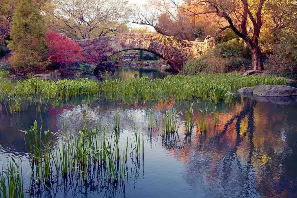 Gapstow Bridge NY