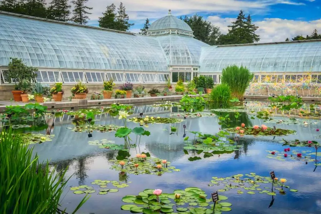 The New York Botanical Garden