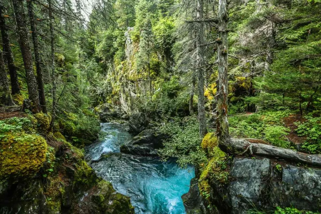 Winner Creek Trail in Alaska