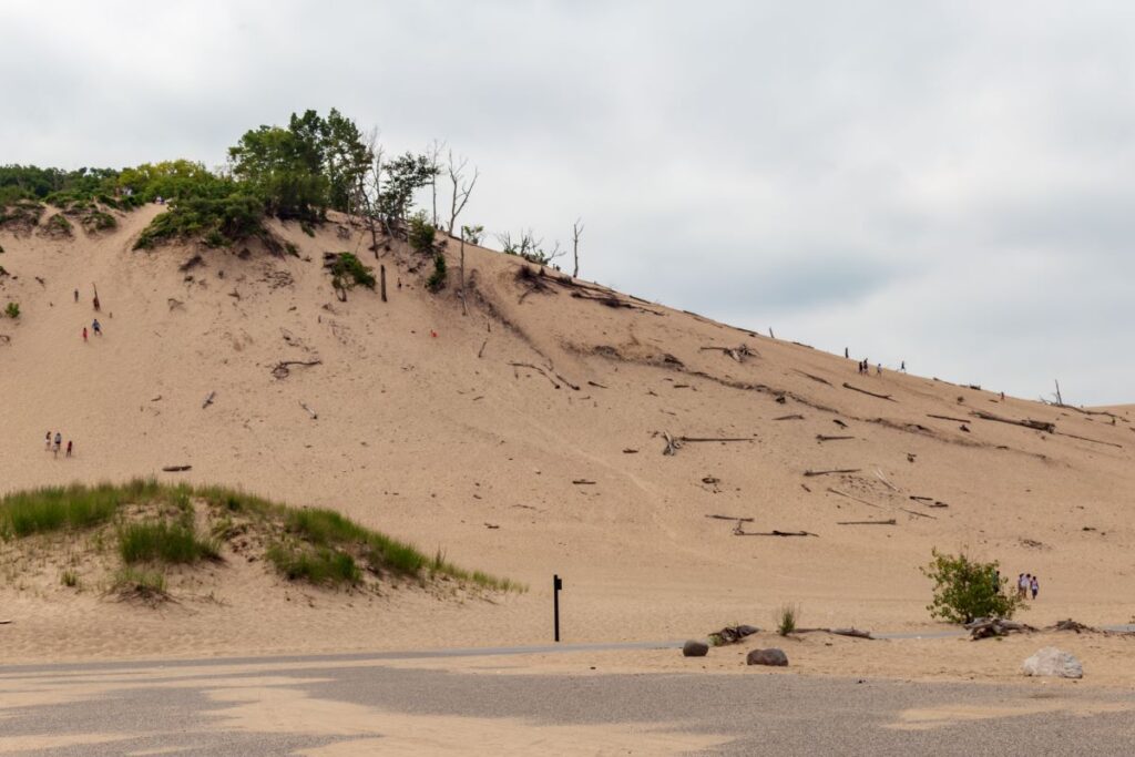 Dunes at Warren Dunes State Park.
