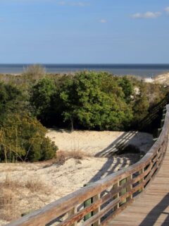 A wooden walkway at Cumberland Island National Seashore, where you can find some of the best beaches in Georgia.