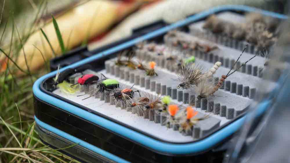 Box of flies for fly fishing