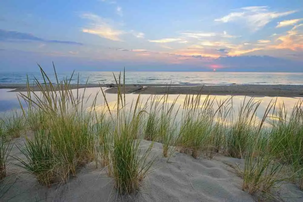 Lake Michigan sand dunes